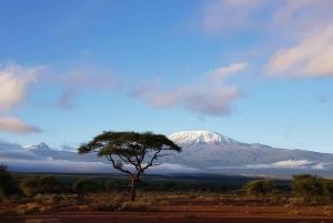 2-Day Short Mount Kilimanjaro Trek