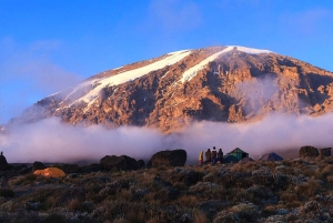 2-Day Short Mount Kilimanjaro Trek