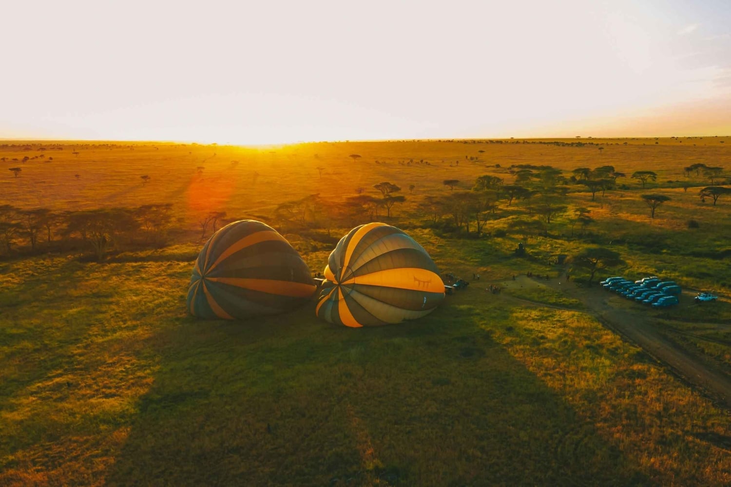 2-dagers safari i Tanzania: Ngorongoro og Tarangire