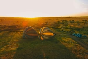 2-dagers safari i Tanzania: Ngorongoro og Tarangire