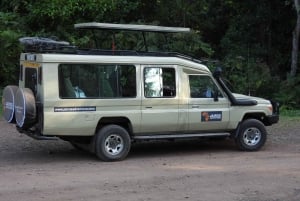 2日間 タランギレ、マニャラ湖＆文化タンザニアサファリ