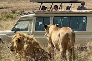 Safari de 2 jours dans le Tarangire et le cratère du Ngorongoro au départ de Zanzibar