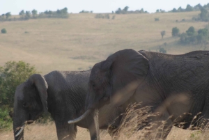 Safari Amboseli di 2 giorni e 1 notte