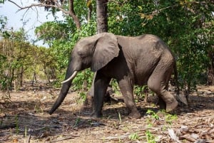 2 Days 1 night Mikumi NP Sharing safari: from Dar es Salaam