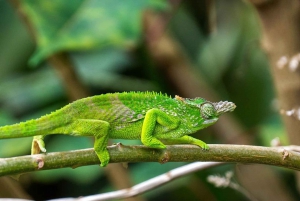 2 Days 1 night Mikumi NP Sharing safari: from Dar es Salaam