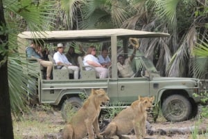 2 dage, 1 nat Selous Game Reserve/ Nyerere National Park