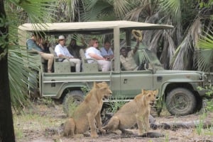 2 dage, 1 nat Selous Game Reserve/ Nyerere National Park