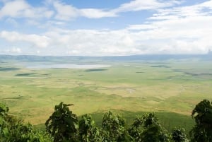 2 dagar 1 natt Tarangire och Ngorongorokratern