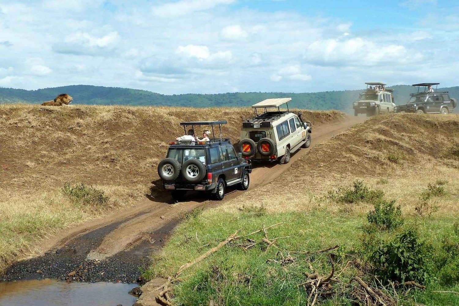 2 dias de safari e cascata em Mikumi NP a partir de Dar es Salaam