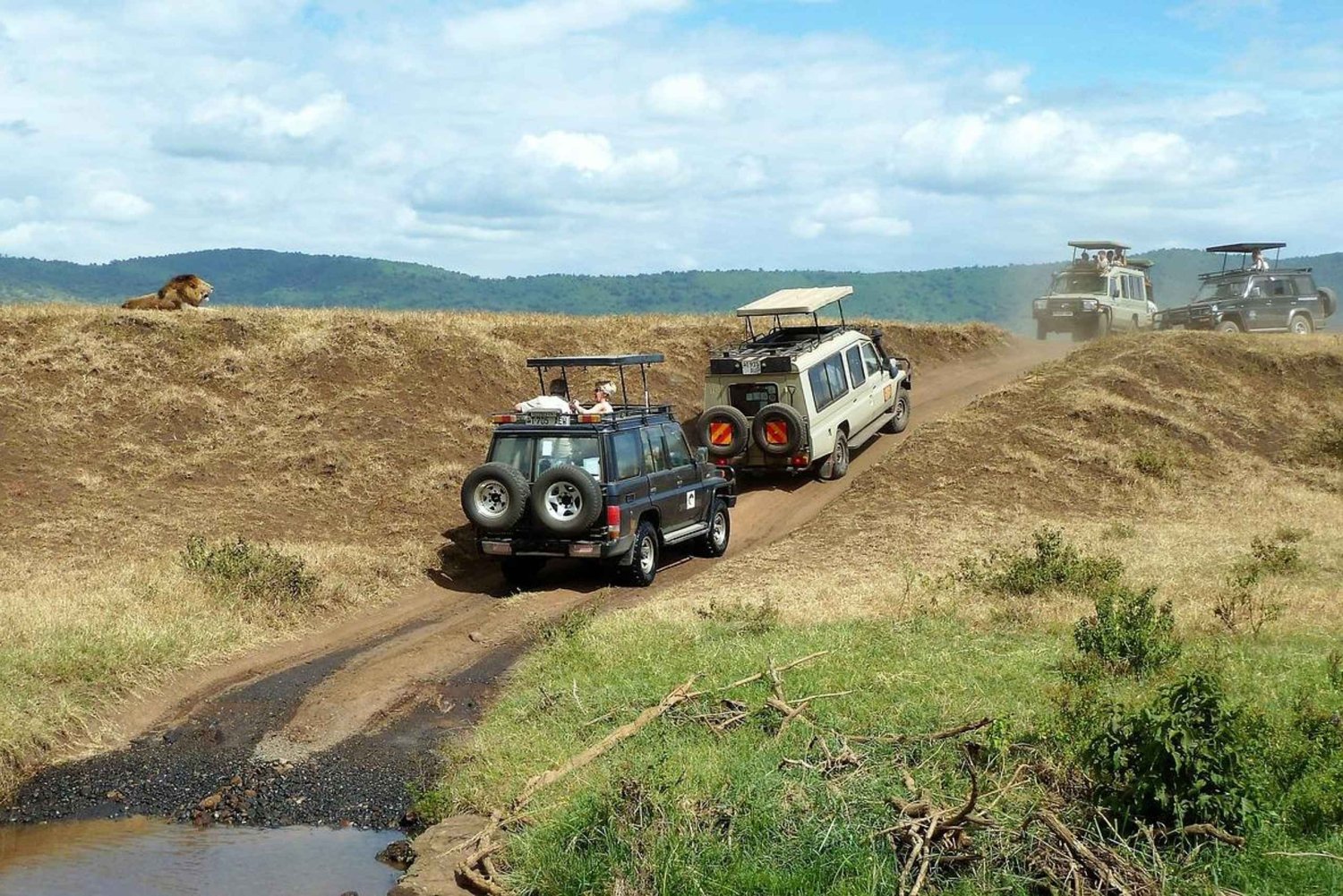 Safari de 2 jours à petit prix dans le parc national de Mikumi et aux chutes d'eau au départ de Dar es Salaam