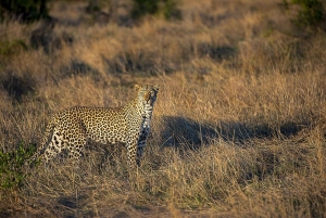 2 Days Cheap mikumi NP safari & waterfall from Dar es salaam