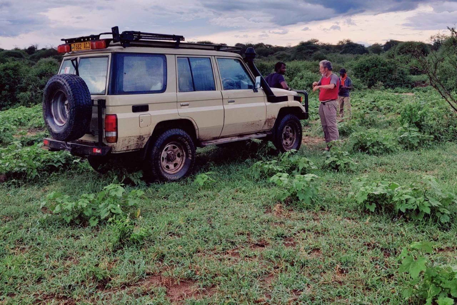 2-dagers Lake Manyara og Tarangire nasjonalparker