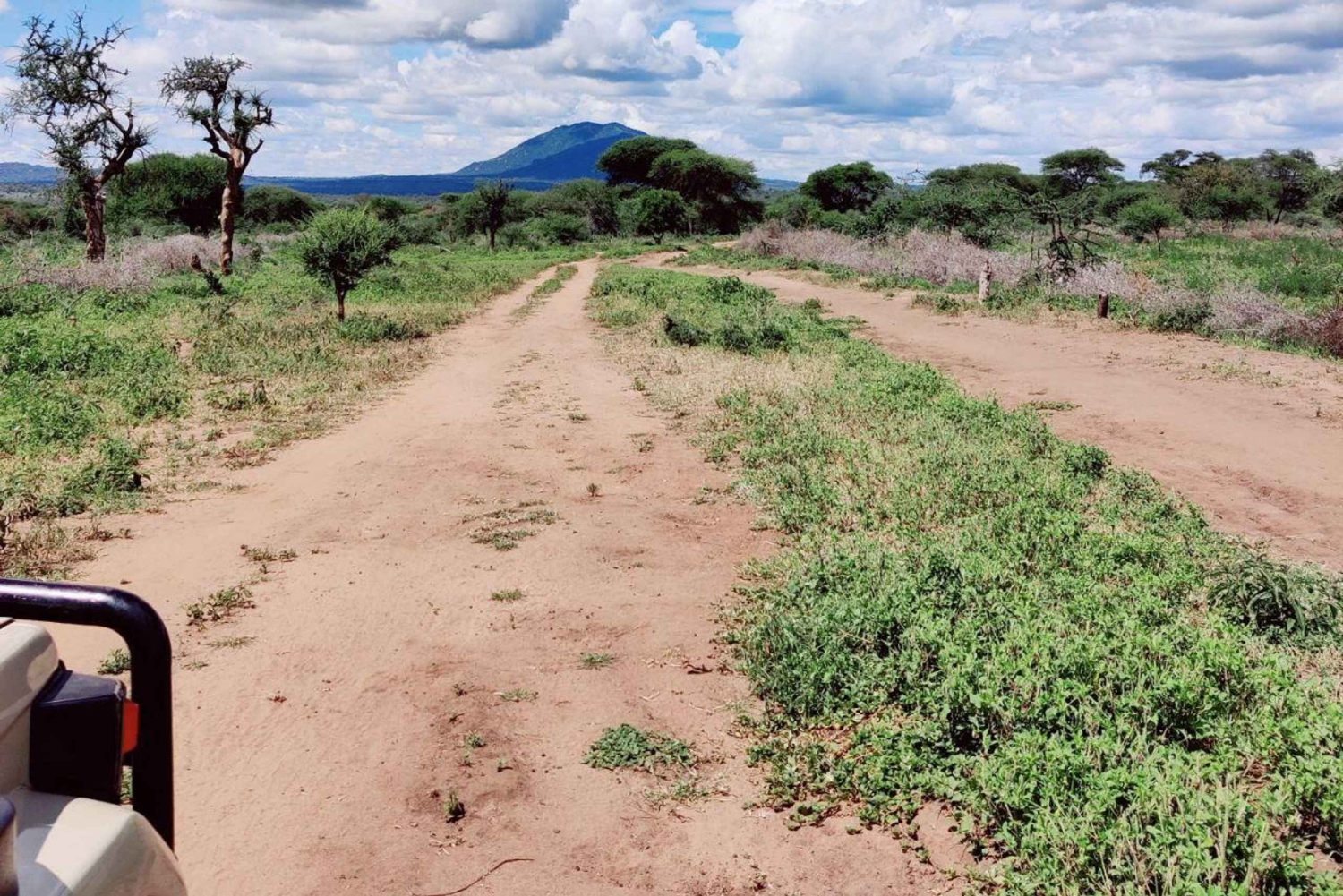 2-dagers Lake Manyara og Tarangire nasjonalparker