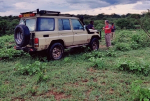2-dagers Lake Manyara og Tarangire nasjonalparker