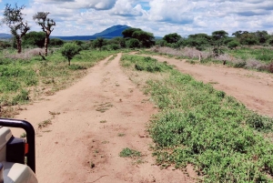 2-dagers Lake Manyara og Tarangire nasjonalparker