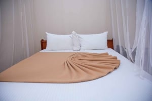 2 PÄIVÄÄ - MIKUMIN PUISTO DAR ES SALAAMISTA LUKSUSJUNALLA