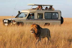 2 dagar mikumi safari äventyr från dar es salaam