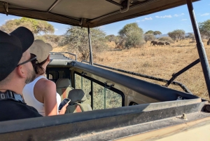 Safari privado de 2 dias em Nairobi