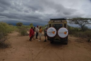 Safári de 2 dias no Serengeti saindo de Zanzibar