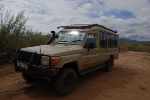Safári de 2 dias no Serengeti saindo de Zanzibar