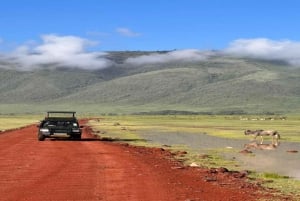 2 dagar Tarangire och Ngorongoro (gemensam camping)