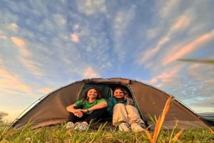 2 dagar Tarangire och Ngorongoro (gemensam camping)