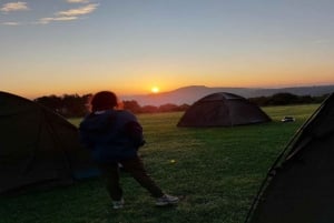 2 giorni Tarangire e Ngorongoro (campeggio comune)