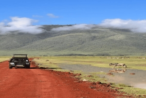 2 дня Тарангире и Нгоронгоро (Совместный кемпинг)