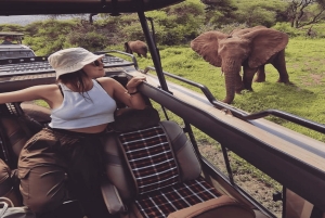 2 дня Тарангире и Нгоронгоро (Совместный кемпинг)