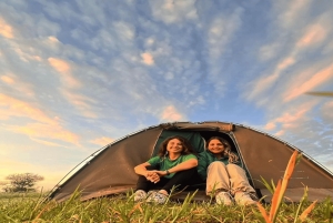 2 дня Тарангире и Нгоронгоро (Совместный кемпинг)