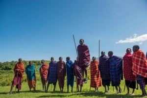 2 DAGES TEST AF SAFARI I DET NORDLIGE TANZANIA