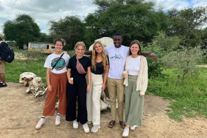 Arusha: 2-dniowe safari „Wielka piątka” do Tarangire i Ngorongoro