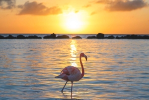 2day budget safari to Tarangire & Lake Manyara National Park