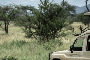 2day budget safari to Tarangire & Lake Manyara National Park