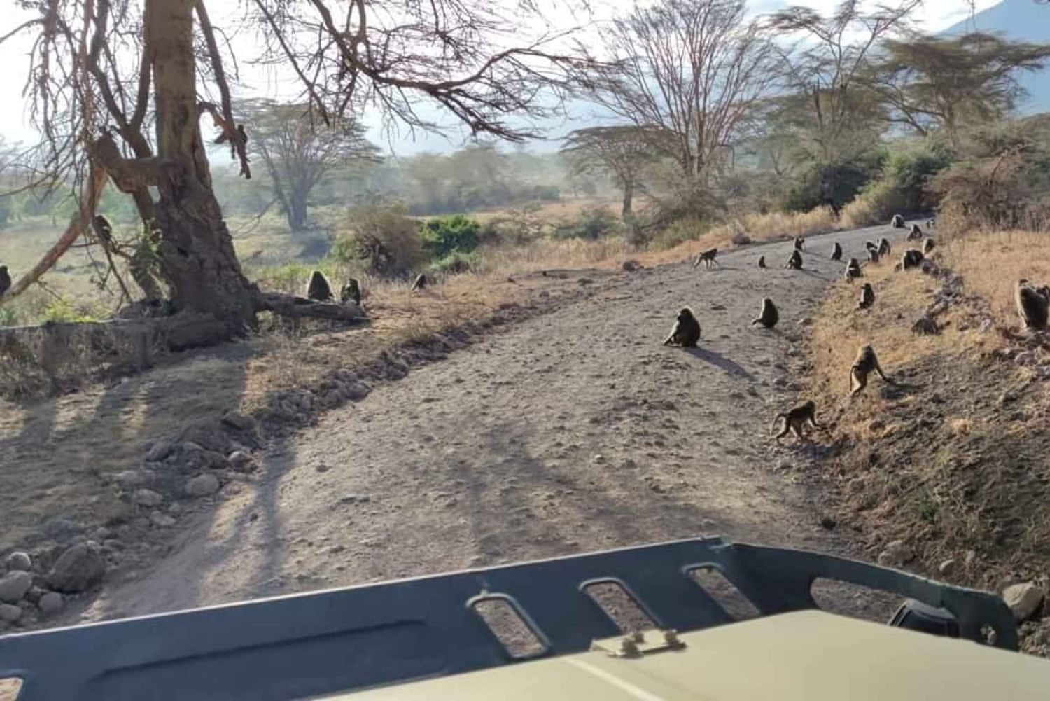Safari de 2 jours dans le Tarangire et le cratère du Ngorongoro Rejoindre le groupe