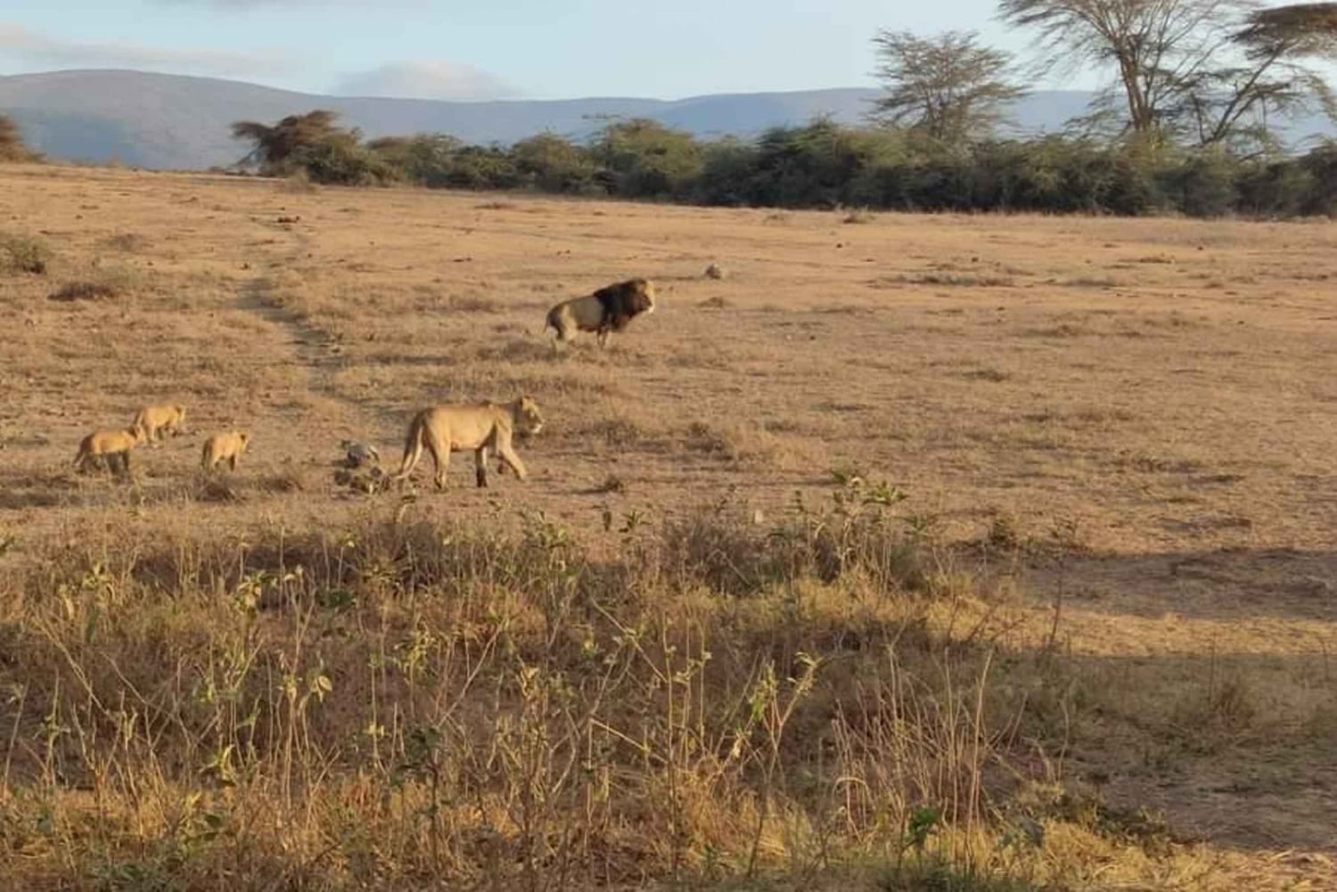Safari de 2 jours dans le Tarangire et le cratère du Ngorongoro Rejoindre le groupe