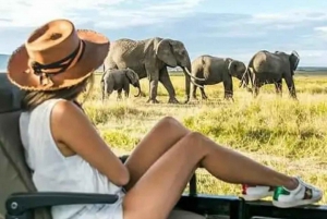 2-dages safari i Tarangire og Ngorongoro-krateret Join Group