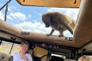 2-dages safari i Tarangire og Ngorongoro-krateret Join Group