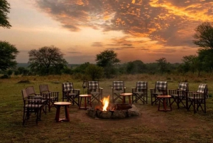 2-dages safari i Tarangire og Ngorongoro-krateret Join Group