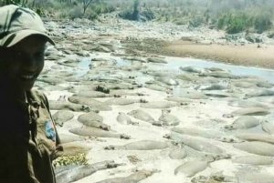 2-dages safari i Tarangire og Ngorongoro-krateret Join Group