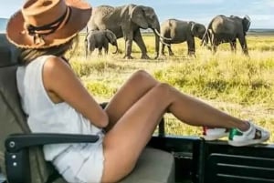 Safari de 2 jours dans le Tarangire et le cratère du Ngorongoro Rejoindre le groupe