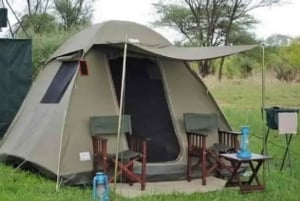 Safari de 2 jours dans le Tarangire et le cratère du Ngorongoro Rejoindre le groupe