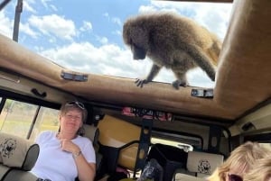 Safari de 2 jours dans le Tarangire et le cratère du Ngorongoro Rejoindre le groupe