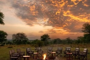 Safari de 2 jours dans le Tarangire et le cratère du Ngorongoro Rejoindre le groupe