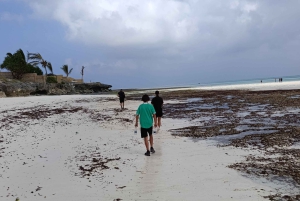 2h-Quad Zanzibar: Explore the heart of zanzibar by Quad