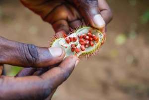 Zanzibar: Prison Island, Stone Town, & Spice Farm Tour