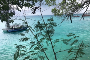 Zanzibar: Prison Island, Stone Town, & Spice Farm Tour