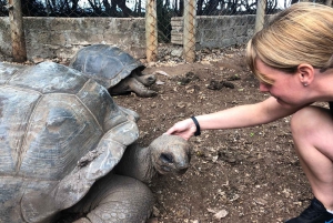 Zanzibar: Prison Island, Stone Town, & Spice Farm Tour