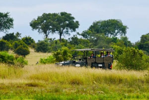 3-Day 2 Nights Mikumi National Park by (Sgr) Train