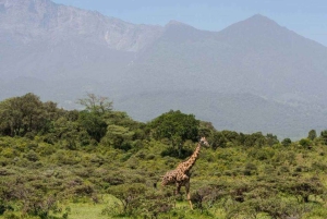 3-dages 2-nætters trek – Mount Meru Trekking